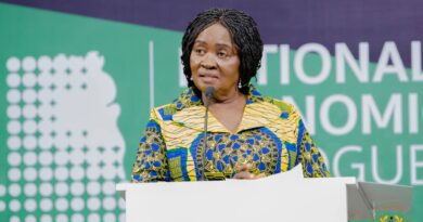 Ghana Appoints 12-Member Presidential Advisory Group on the Economy